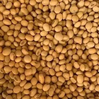 Soybeans