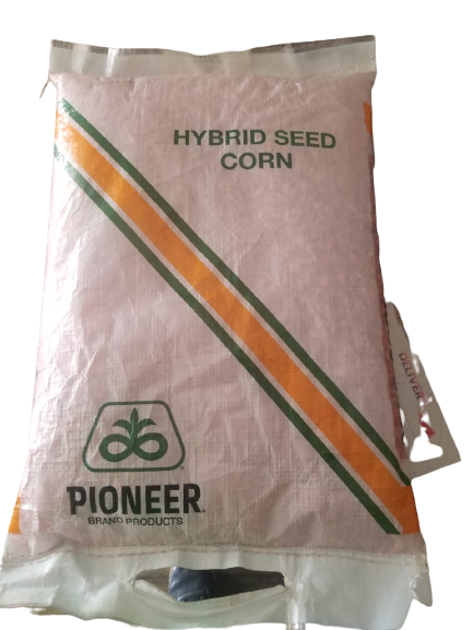 Pioneer Maize Seeds – LADI MORALS MART