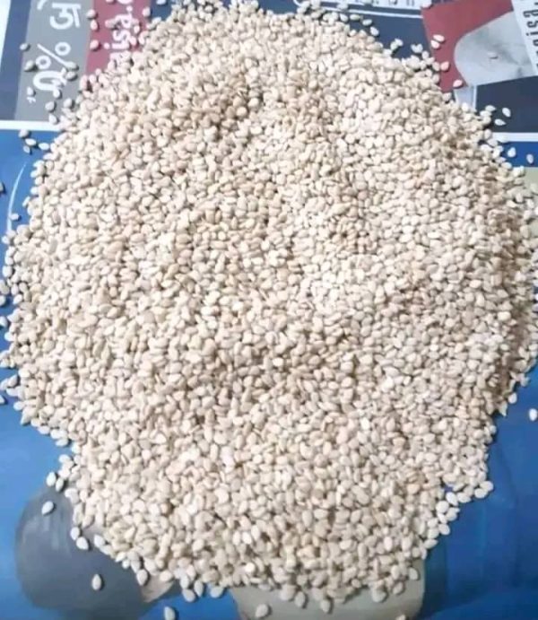 Sesame (99% clean)