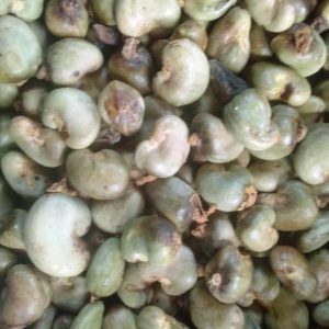 Raw Cashew Nuts