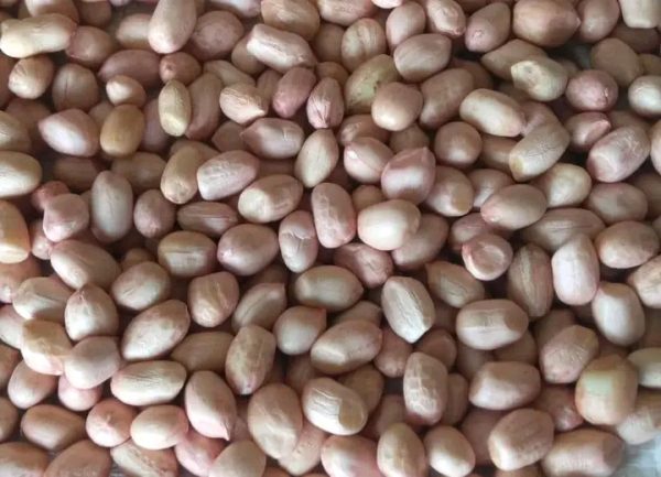 Peeled Groundnut/Peanut