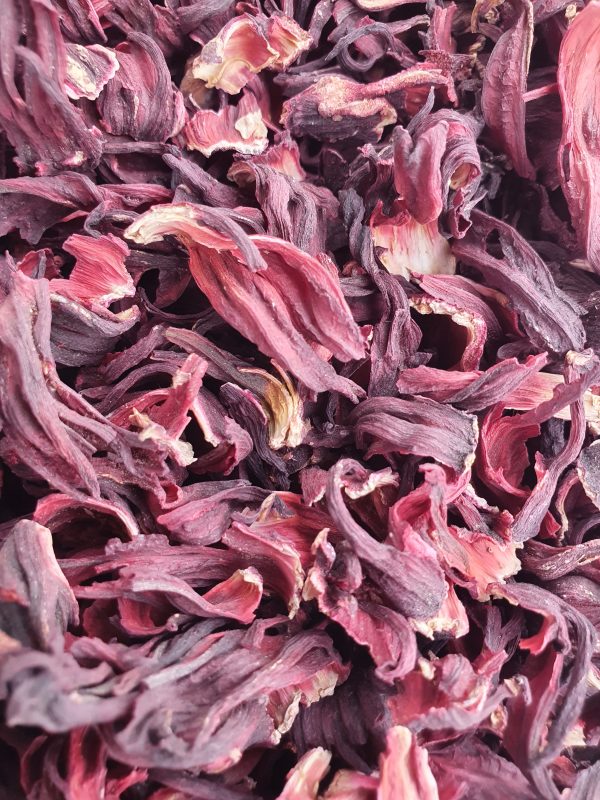 Hibiscus Flower