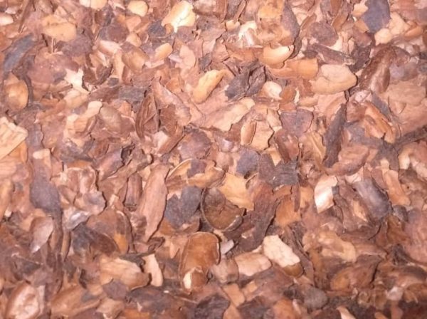 Cocoa Shell