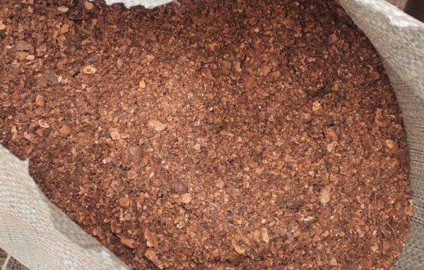 Cocoa Shell