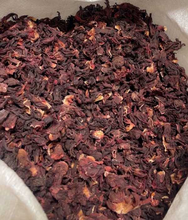 Hibiscus Flower