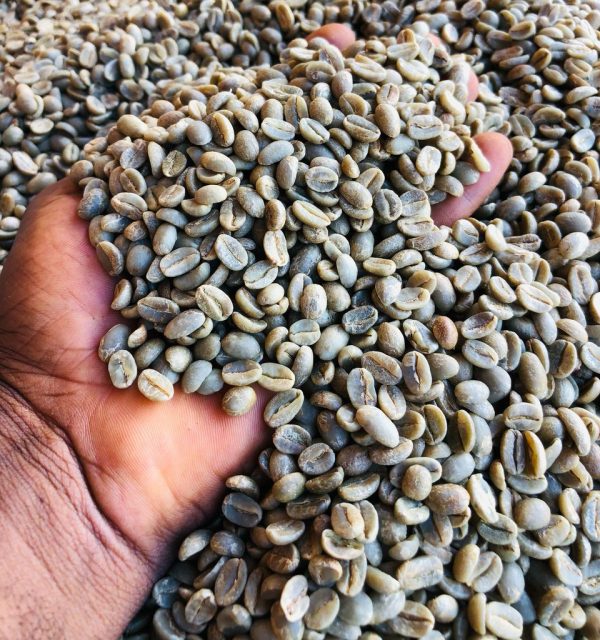 Green Coffee