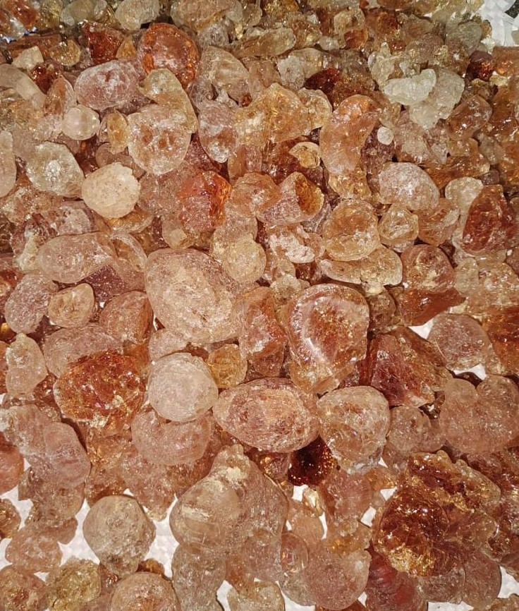 Gum Arabic