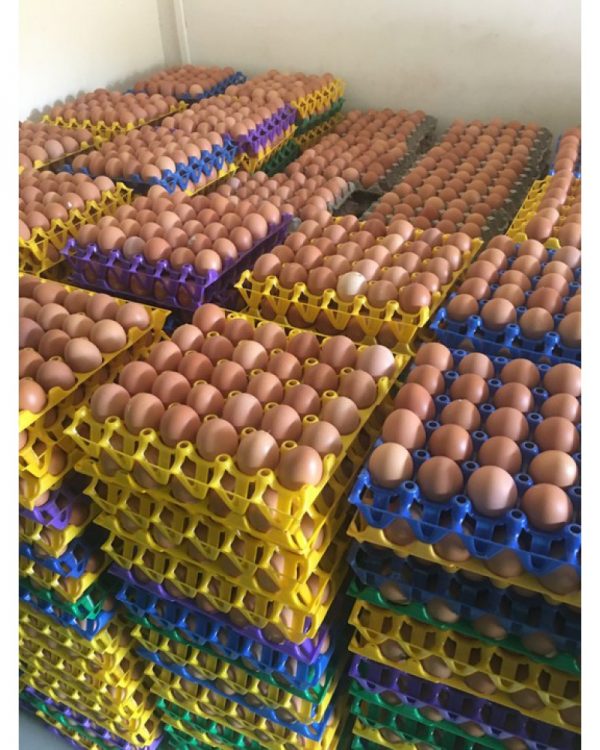 Crates of Eggs