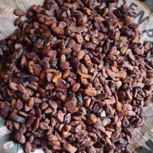 Cocoa Beans