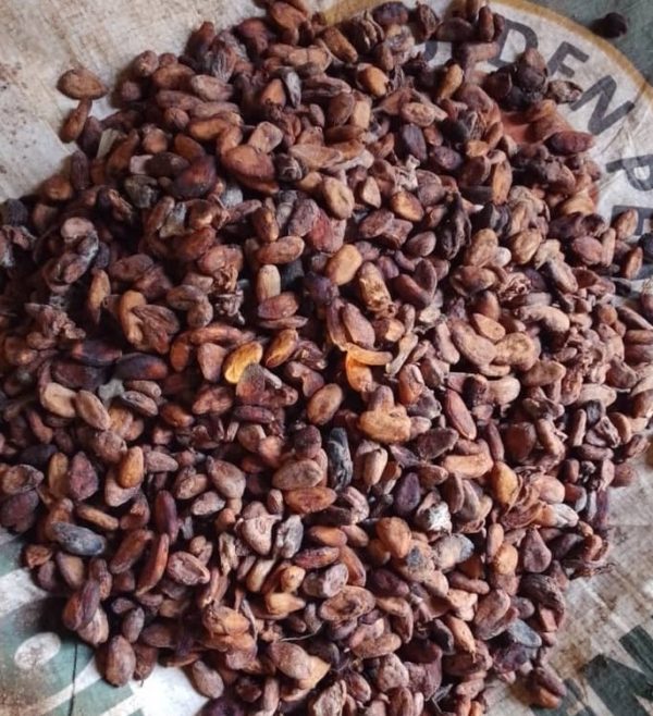 Cocoa Beans