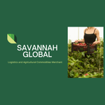 Savannah global