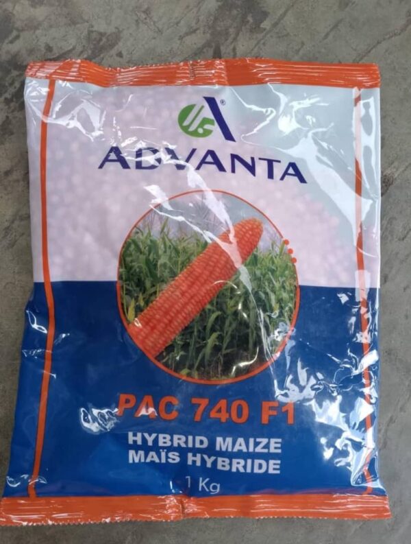 Advanta - Hybrid Maize Seeds