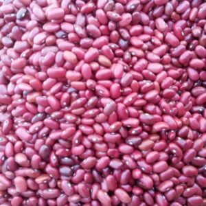 Red Kidney Beans