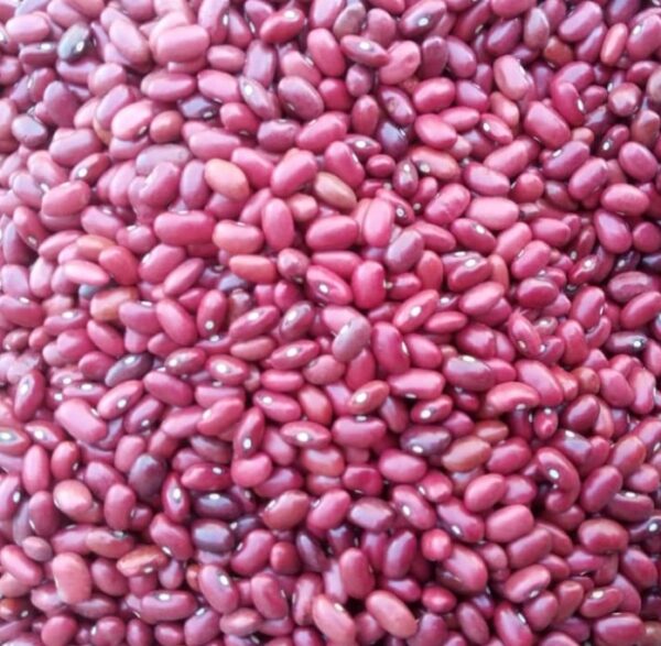 Red Kidney Beans