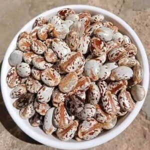 Castor Beans