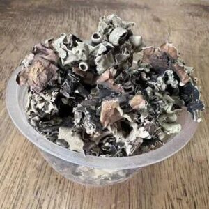 Stone Flower