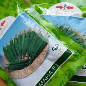 Maha F1 Okra Seeds