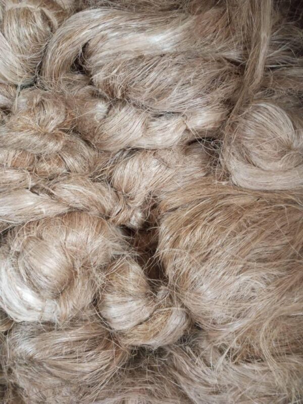 Banana Fibre