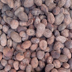 Shea Nuts