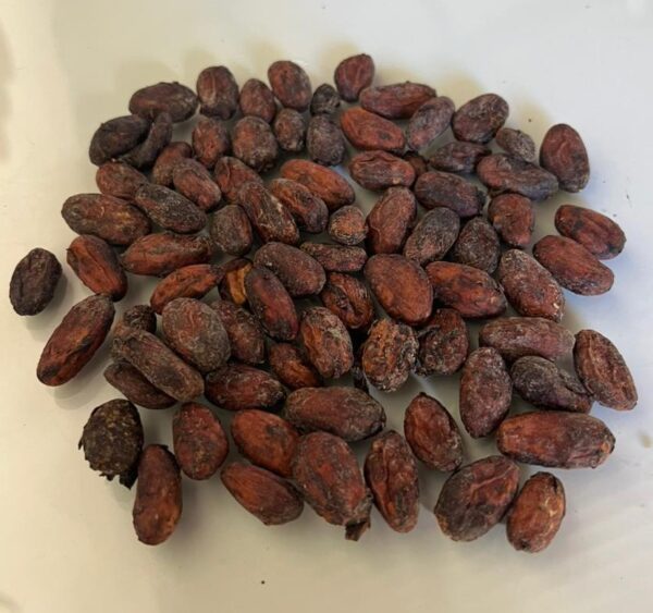 Cocoa Beans