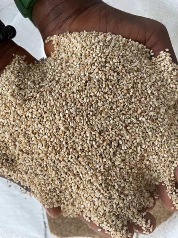 Sesame Seeds