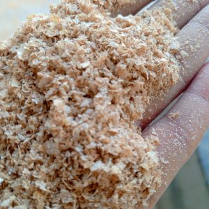 Wheat Bran
