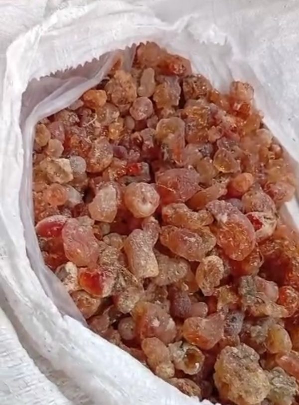 Gum Arabic