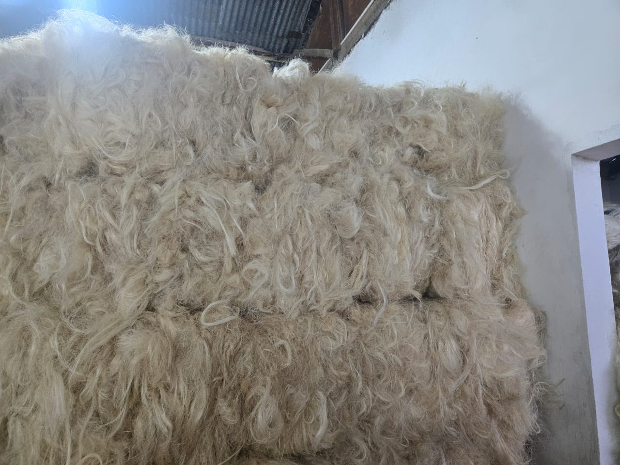 Sisal Fibre - Image 3