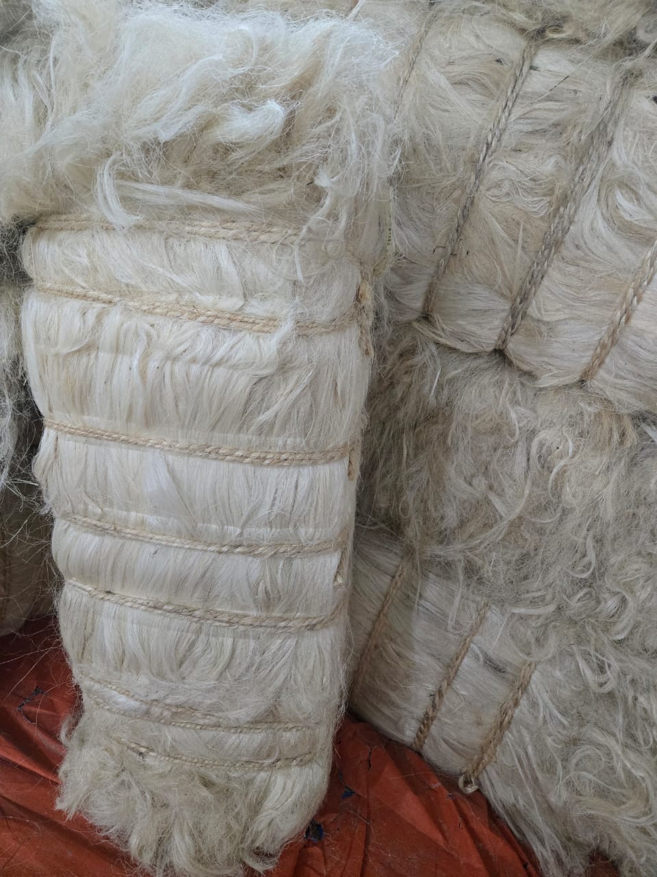 Sisal Fibre - Image 2