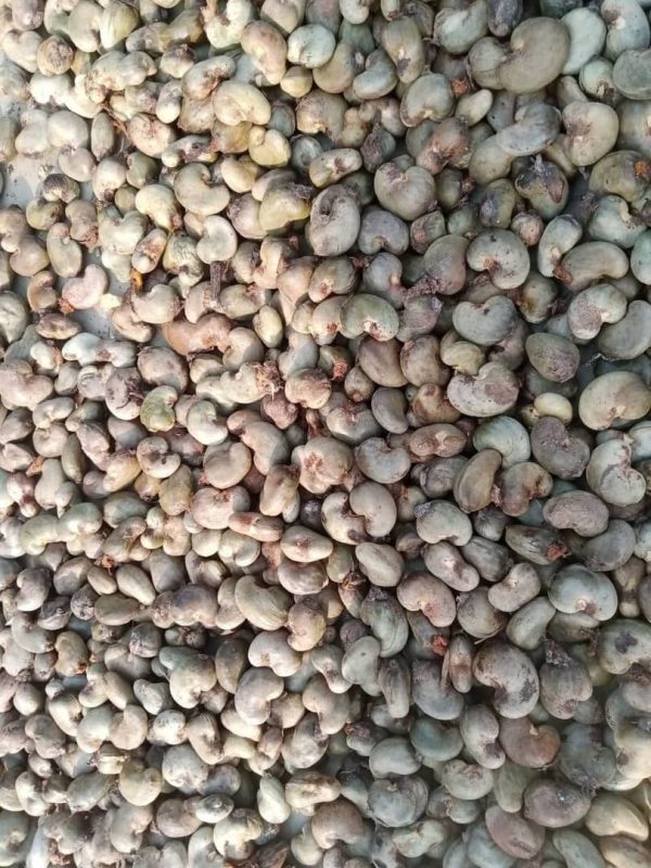 Cashew Nuts