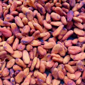 Cocoa Beans